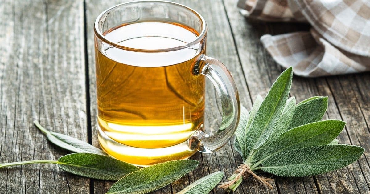 Zsálya: A 60 felettiek titkos fegyvere a szellemi frissességért!