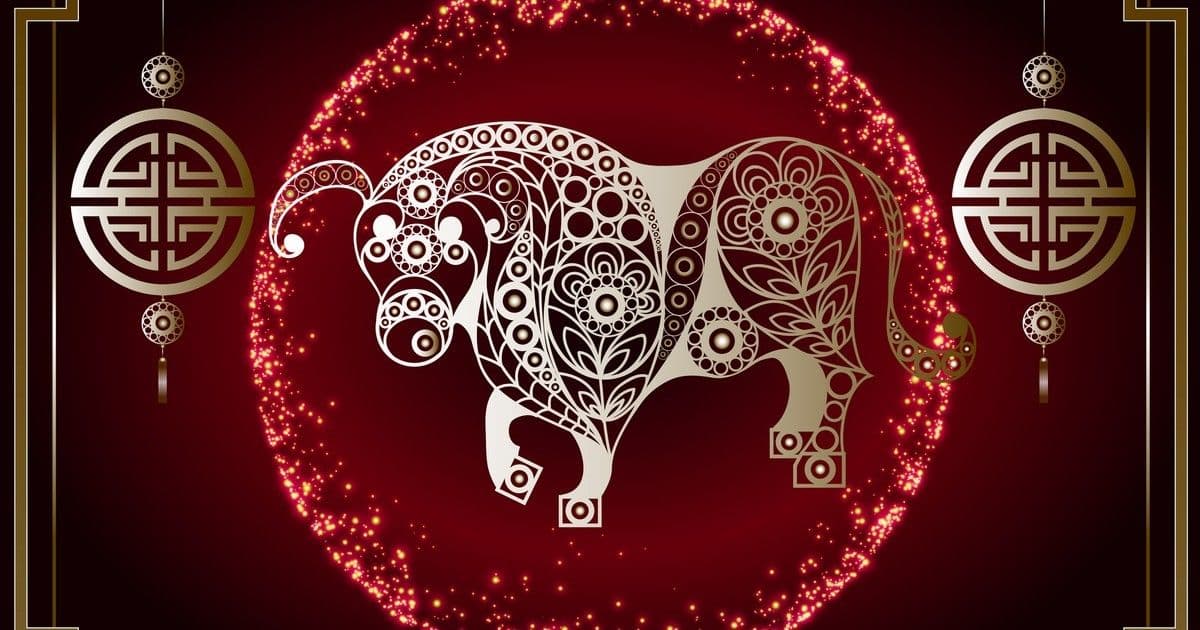 Bivalyok figyelem! Februárban pénzeső és párkapcsolati fordulat várható