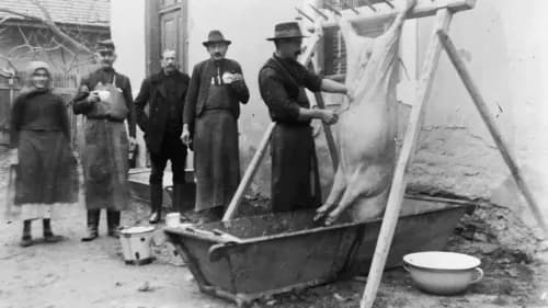 Szenzációs disznóvágás: meztelenül, hírességek társaságában - Videóval!