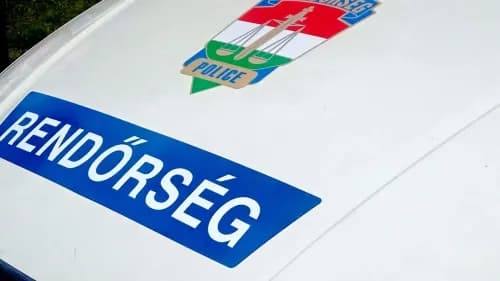 Szenzáció! Kistigris okozott pánikot Budapesten - Mi történt az Állatkertben?