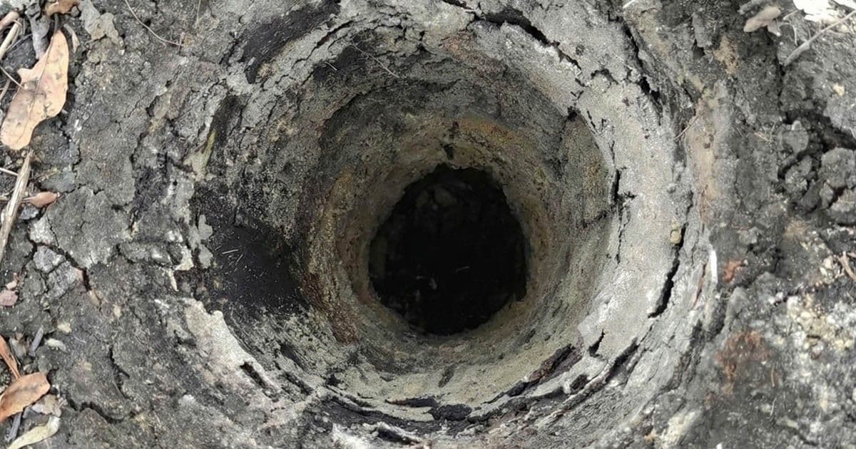 Kanadai csodakerítések: Hogyan állnak ellen a szélnek beton nélkül?